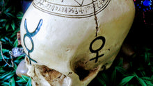 Skull Head with Symbols