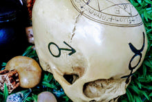 Skull Head with Symbols